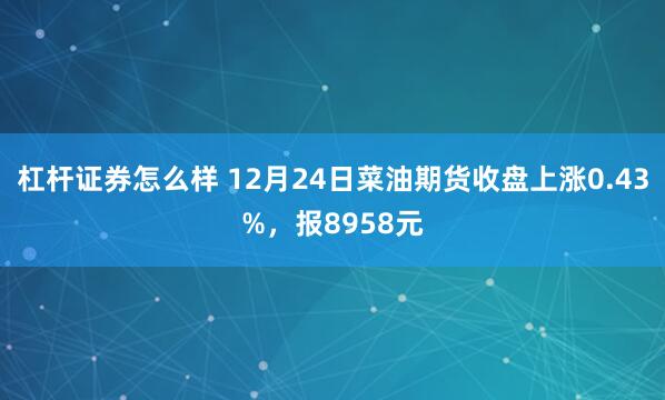 杠杆证券怎么样 12月24日菜油期货收盘上涨0.43%，报8958元