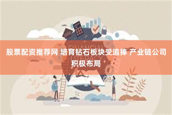 股票配资推荐网 培育钻石板块受追捧 产业链公司积极布局