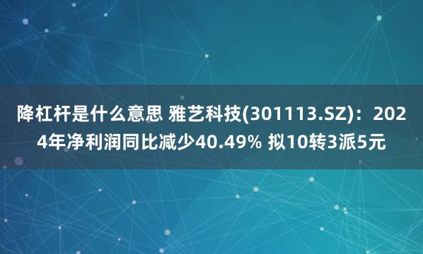 降杠杆是什么意思 雅艺科技(301113.SZ)：2024年净利润同比减少40.49% 拟10转3派5元