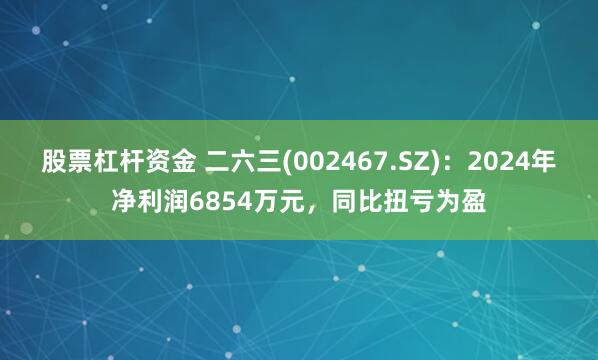 股票杠杆资金 二六三(002467.SZ)：2024年净利润6854万元，同比扭亏为盈